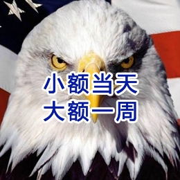 金川要账公司